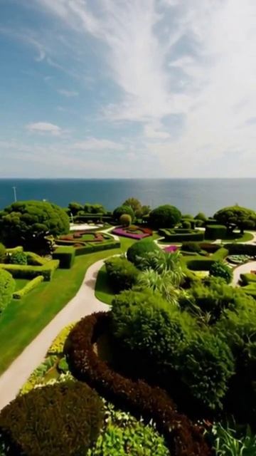 #wowвидео #фантастическиесцены #лучшиевидео #видеоудивление #невероятныефакты #смешныемоменты