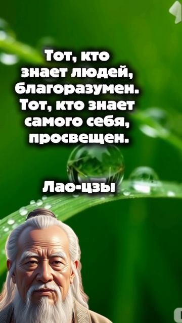 Мудрые слова