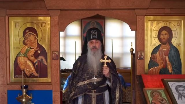 Нам нужно духовно расти, иначе мы будем падать - Схиигумен Гавриил (Виноградов-Лакербая)