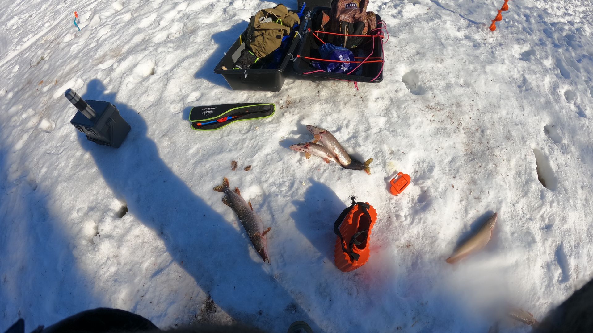 Еты-Пур, подкова. Щука 7 штука