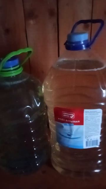 Начался сбор берёзового сока