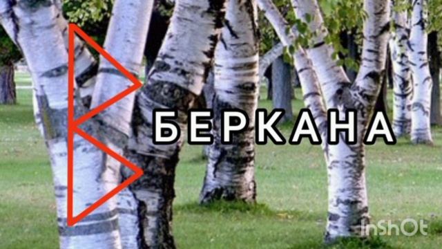 Б Е Р К А Н А. Моя Виса.