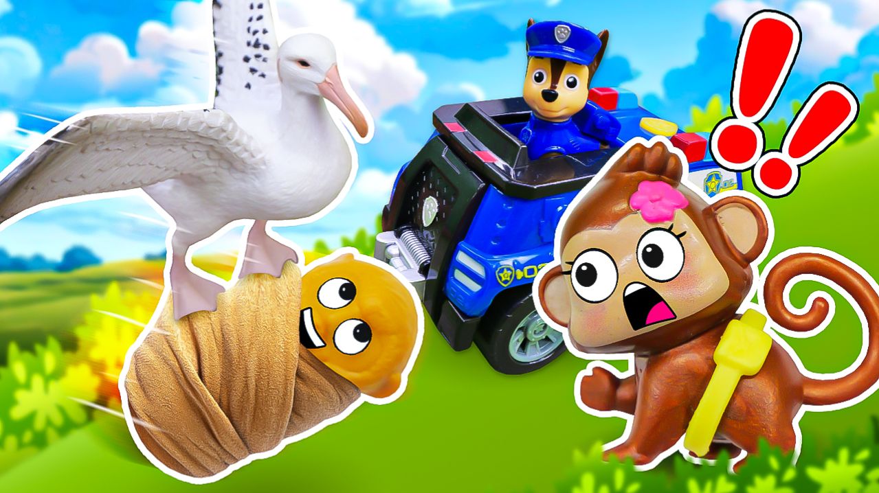 Аист заболел, и альбатрос всё перепутал! Чейз спешит на помощь!