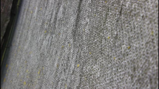 Звуки разных птиц.Рязанская область.28.06.2025.