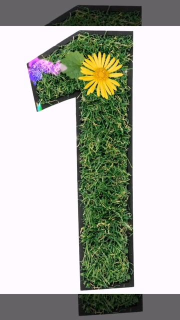 1️⃣ в нумерологии 🌱