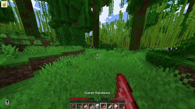 сыграл с мимиком