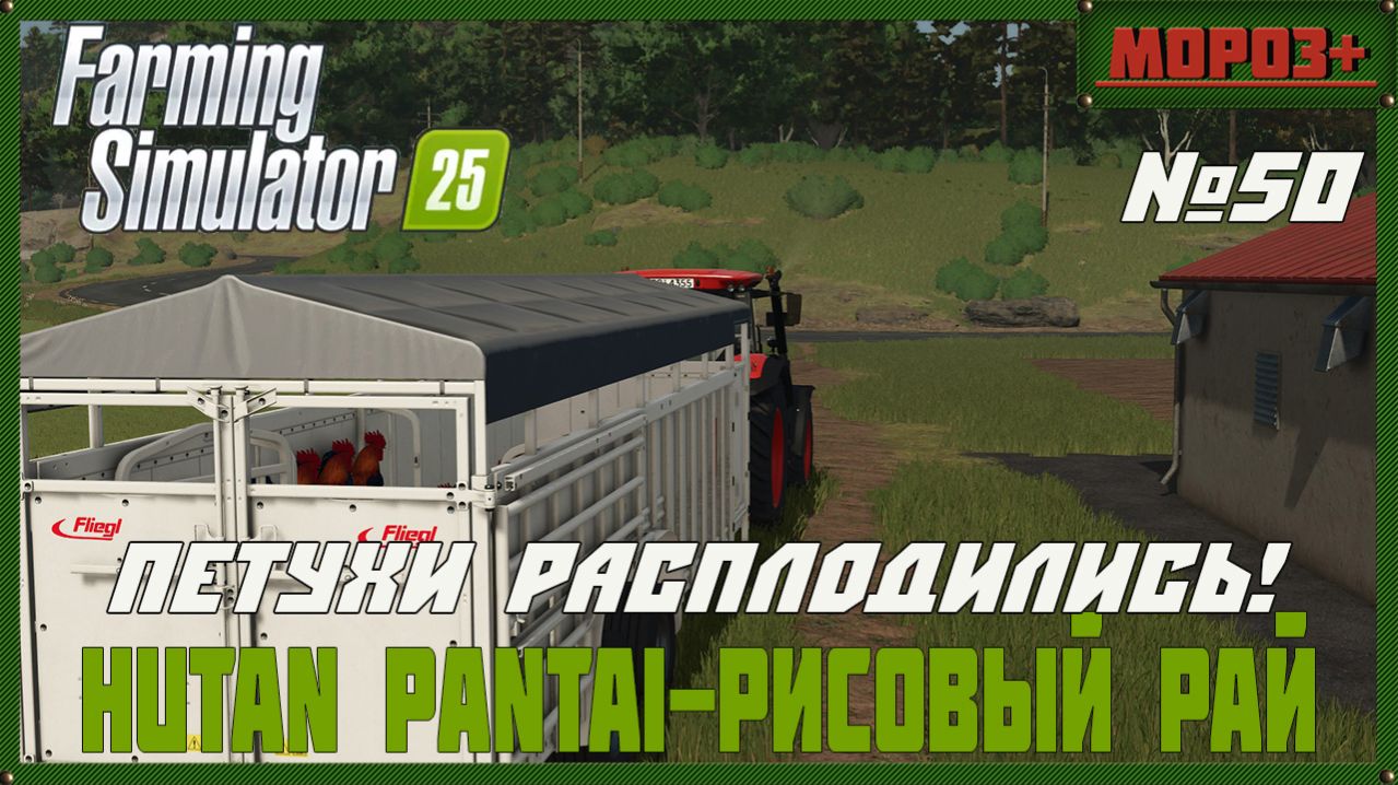 🟢Farming Simulator 25🟢. Карта  Hutan Pantai-Рисовый рай,  №50 Петухи расплодились!