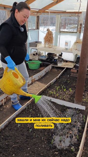 приглашаю вас в гости к себе в огород.mp4