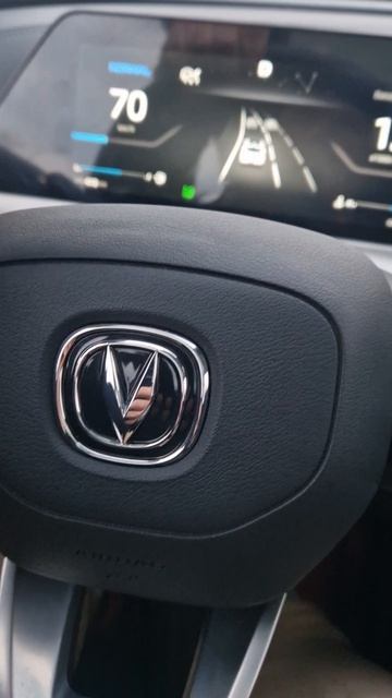 перегон чанганов