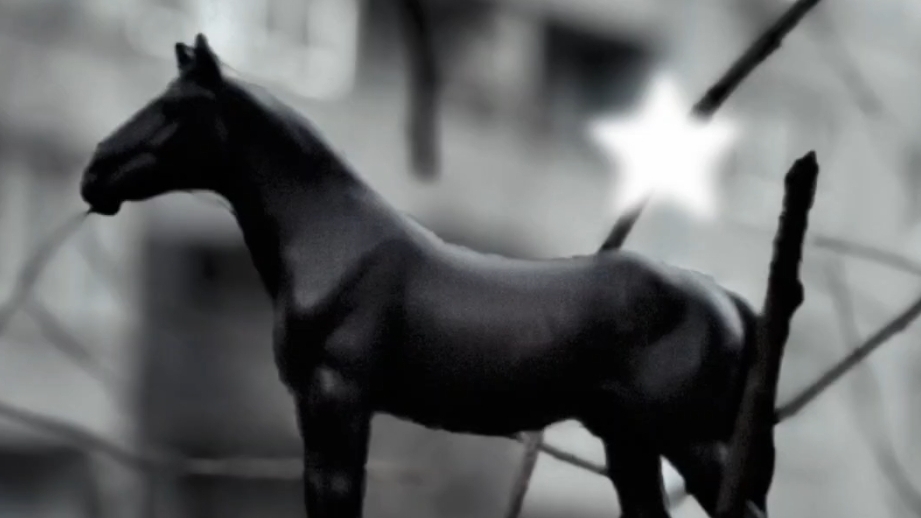 Фото Амулета и Жапплу