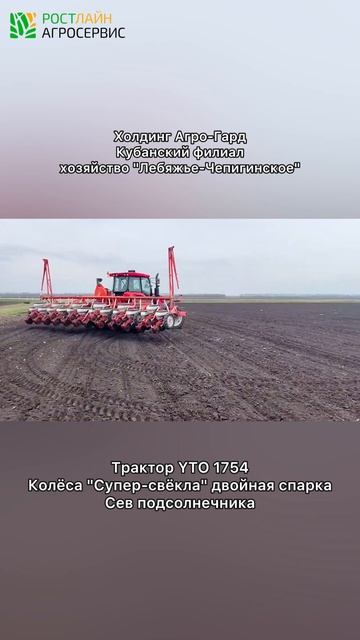 В Краснодаре работает YTO 1754 с колесами Супер-свекла в двойной спарке / сев подсолнечника #shorts