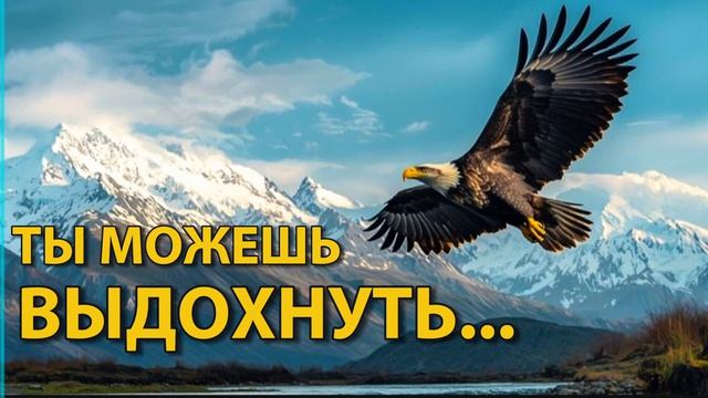 НАСТУПИЛ ПЕРИОД НАСТОЯЩЕЙ СВОБОДЫ.☀ #саморазвитие#осознанность#свобода#вперëд#квантовоемышление