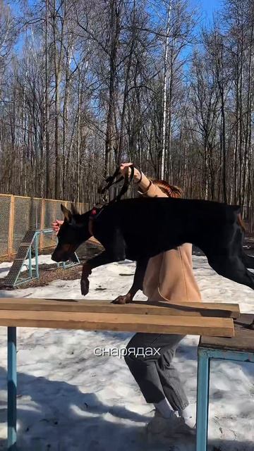 ДЕНЬ СО МНОЙ ЗА 1 МИНУТУ☀️🐶