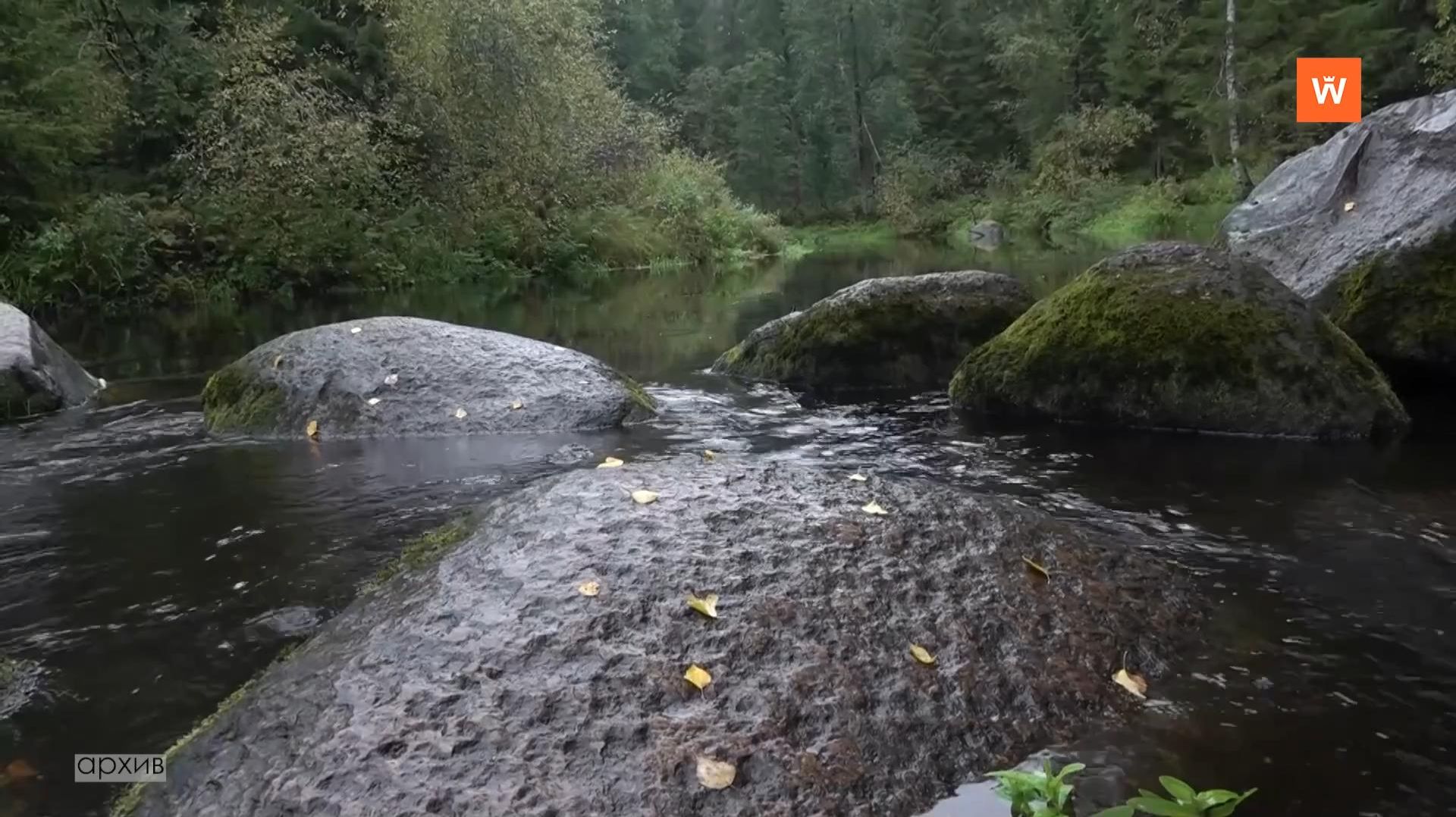 49cb6b4211b2907ee8b362cc155c8609