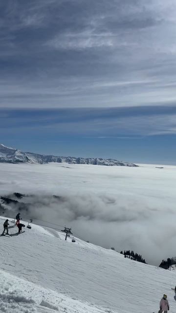 8ce87dba7cfcba8fd2d32126d68c17ab