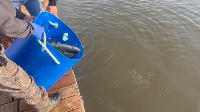 Copy_62FEC5AF-ABAB-45D3-8E47-9652B6A430E4