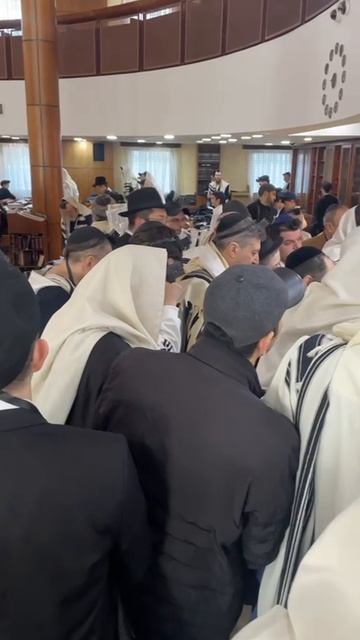 раввин Давид Мондшайн проводит сиюм трактата «Сангедрин» в честь Поста первенцев