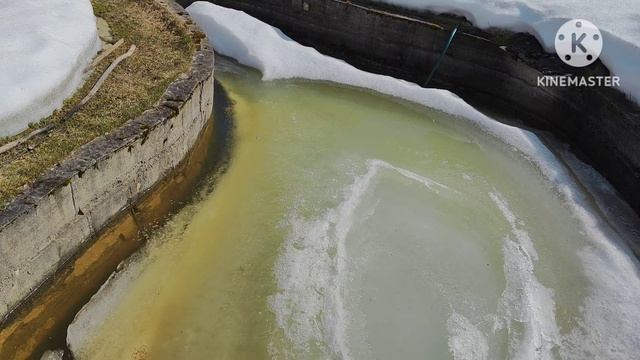 Первая поездка на дачу 01.04.26