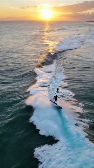 Серфинг на закате: волны и эмоции #серфинг #океан #закат