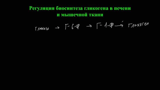 Обмен углеводов