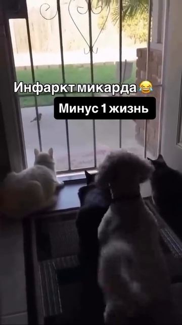 ну получается вот так