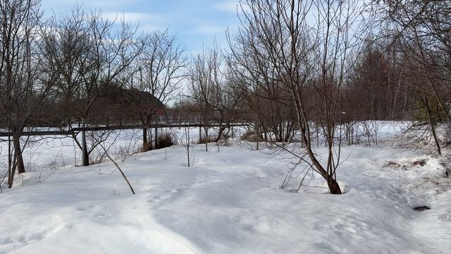 д. Чаплыгино, между участками №7 и №8