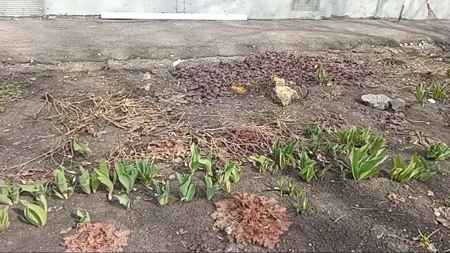 2a0947312b626732147e8010a9af58cf