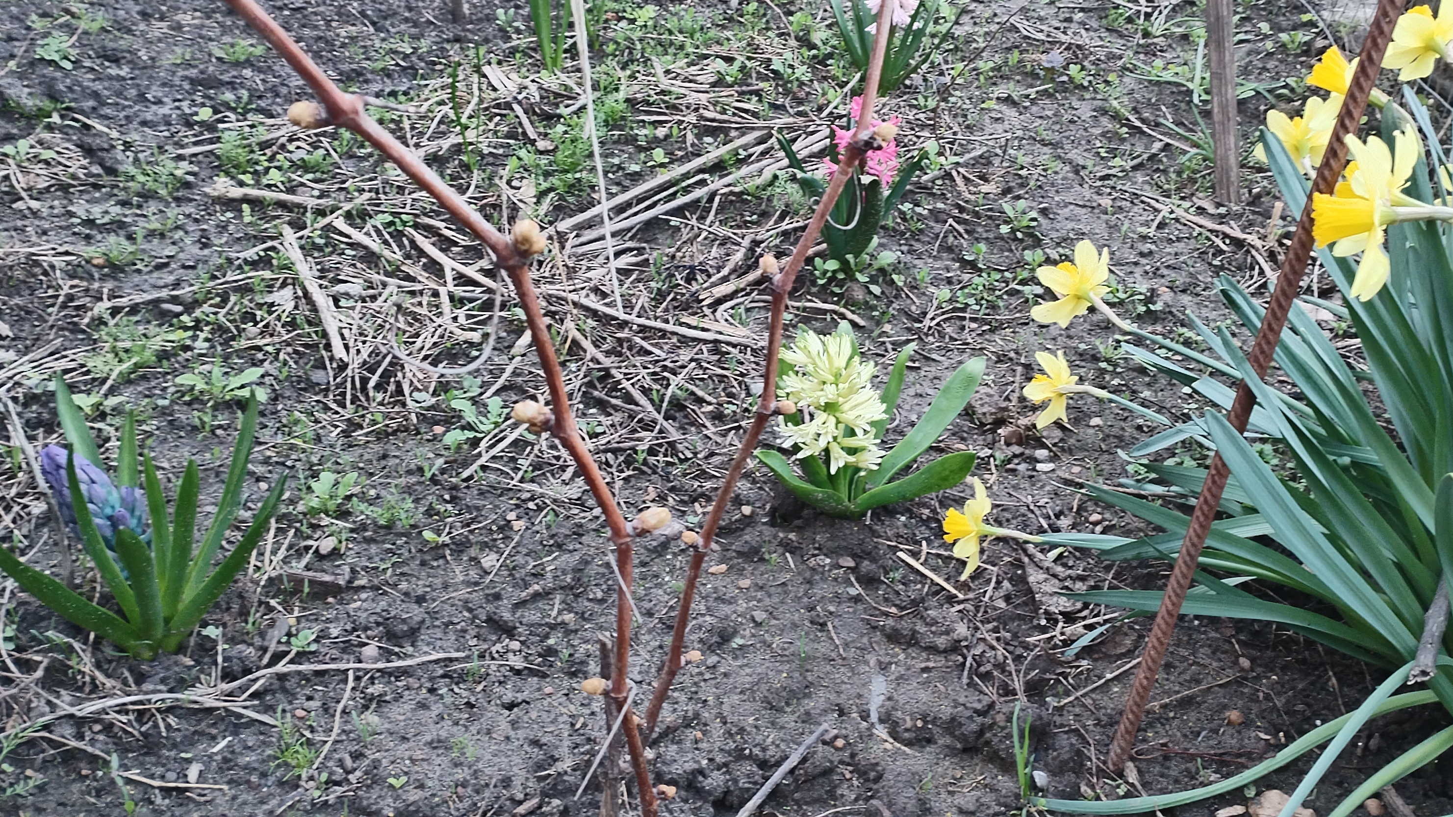 Весна, прохладно пчелы работают.