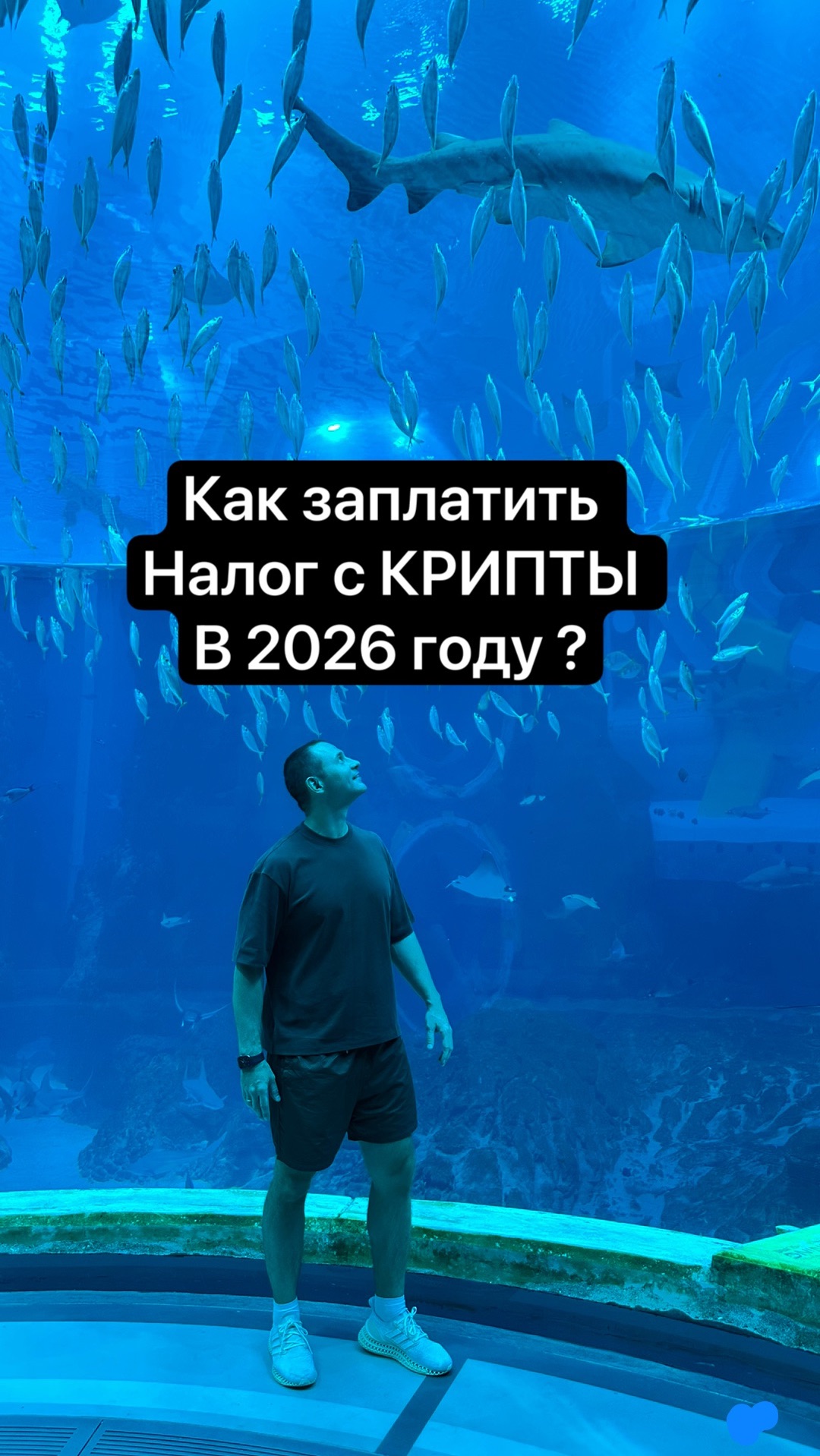 Как заплатить налог с крипты в 2026 Инструкция