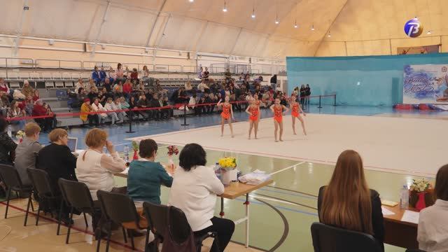 Соревнования по художественной гимнастике.