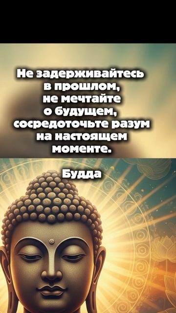 мудрые слова