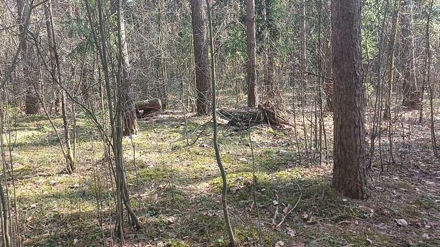 Длинная очередь при внезапной встрече с противником