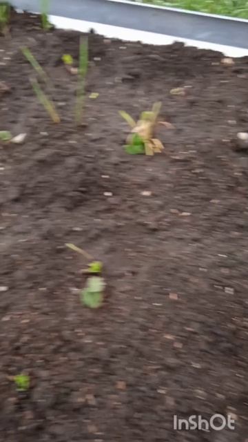 3d30ee31b0a7d6e0c10b0aa79a929cd0