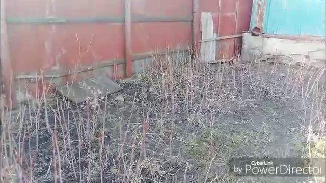 Работы много, что в планах сделать / Булочки на десерт.