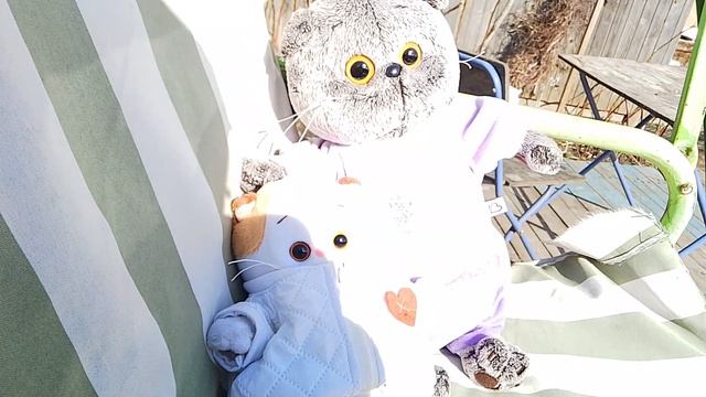 прогулка.с Басиком и Лили.🍉