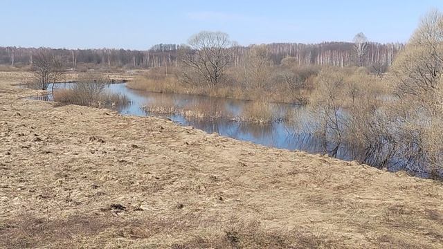 Разлив река Ветьма Брянская обл Жуковский р н д Гришина слобода