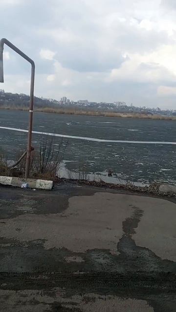 Лед тронулся