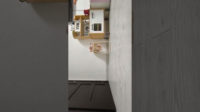 вечерниц влог с дианой