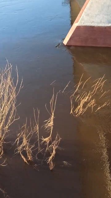 Добрый вечер! 🤗.mp4