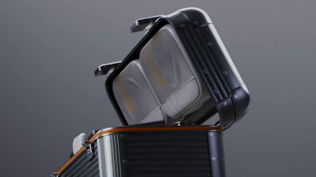 Эталон ручной клади. Чемодан BORK