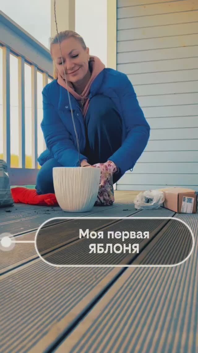 А вы когда-нибудь сажали яблоню в цветочный горшок? 😉
