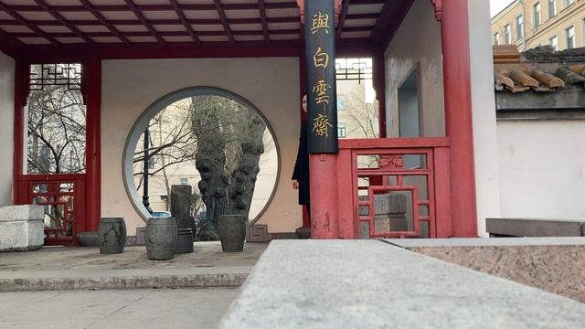 Художник Полина Заремба живет в СПБ