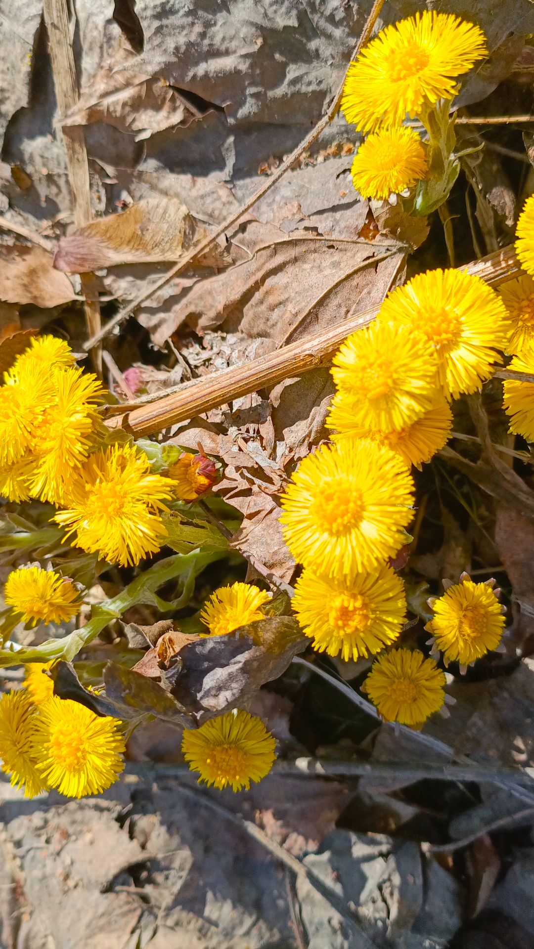 С началом апреля дорогие зрители успехов и хорошего настроения!