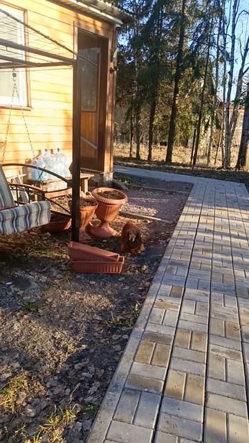 Появилась работа- надо теперь благоустроить