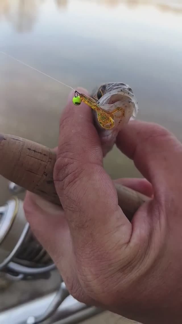 Открылись по спиннингу на мормо по открытой воде и сразу закрылись, запрет.