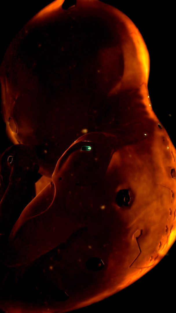 Deus Ex: Human Revolution (2011) - Тизер (Улучшенное качества до 8K)