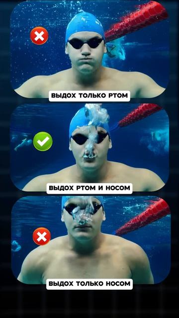 Делаем выдох в воду ПРАВИЛЬНО!