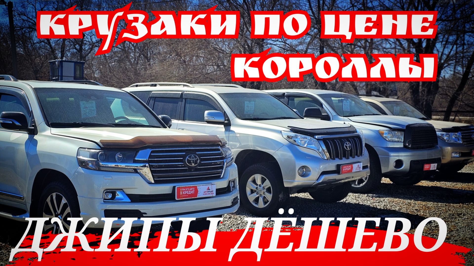 КРУЗАКИ ПО ЦЕНЕ КОРОЛЛЫ