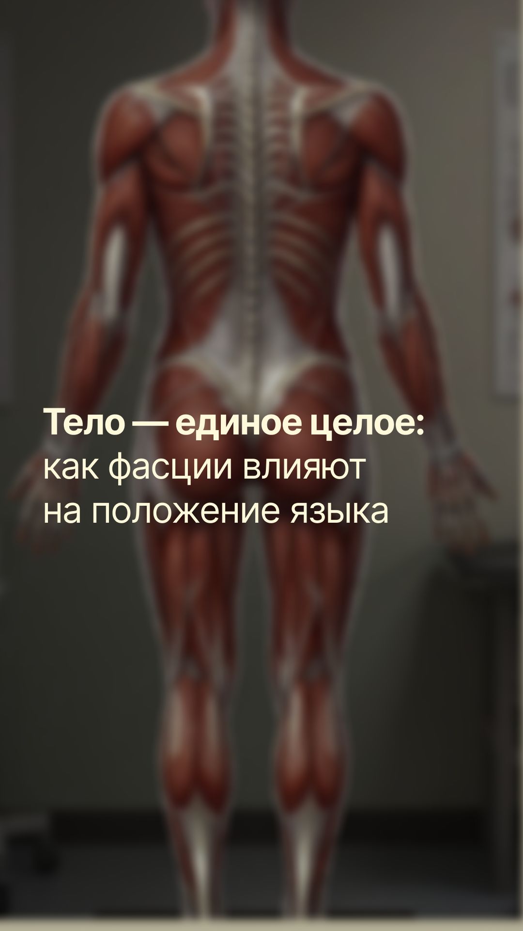 Невидимый каркас, который держит всё тело — это фасции.