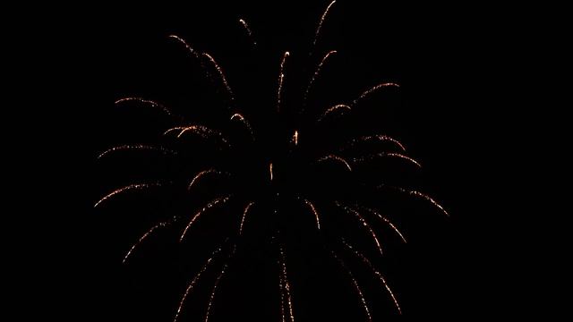 DS2514--2.5” Brocade Crown With Silver Tail